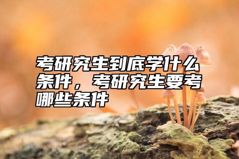 考研究生到底学什么条件，考研究生要考哪些条件