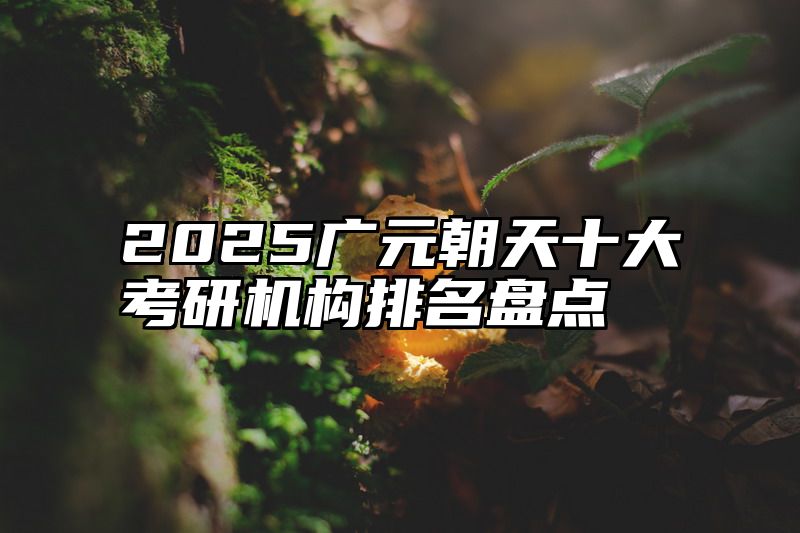 2025广元朝天十大考研机构排名盘点