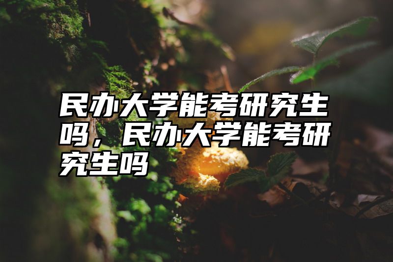 民办大学能考研究生吗,民办大学能考研究生吗