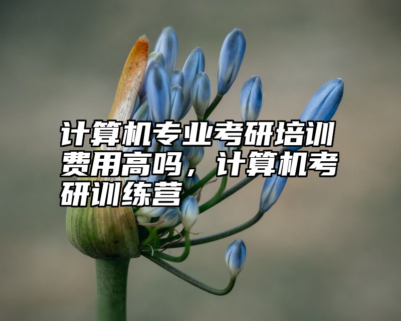 计算机专业考研培训费用高吗,计算机考研训练营