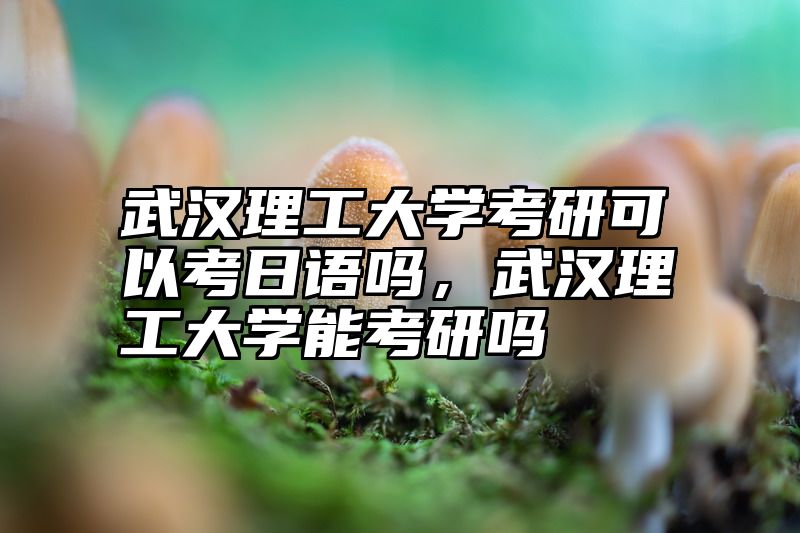 武汉理工大学考研可以考日语吗,武汉理工大学能考研吗