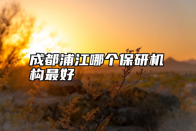 成都浦江哪个保研机构最好